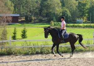Mia on ratsuttanut Durandoa toukokuusta 2014 lähtien hyvin tuloksin.
